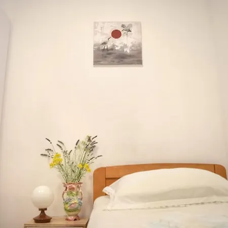 Apartman Ivanka In *